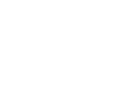 Dental Strategist