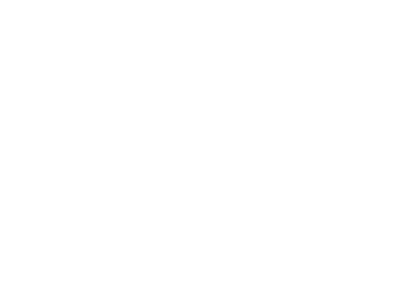Dental Strategist