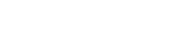 Zirconia Digitale